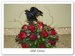 Old Crow