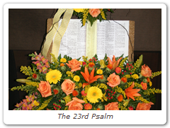 The 23rd Psalm